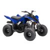 5905367A_MOTO_YAMAHA_YFM90R_RAPTOR_AZUL_2b.jpg